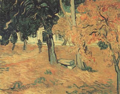 Vincent Van Gogh The Garden of Saint-Paul Hospital (nn04) Spain oil painting art